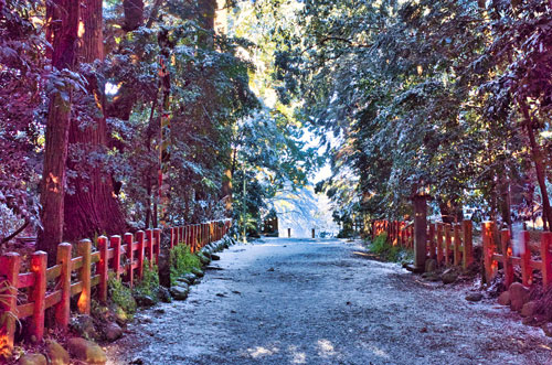 神宮神の森雪の巻